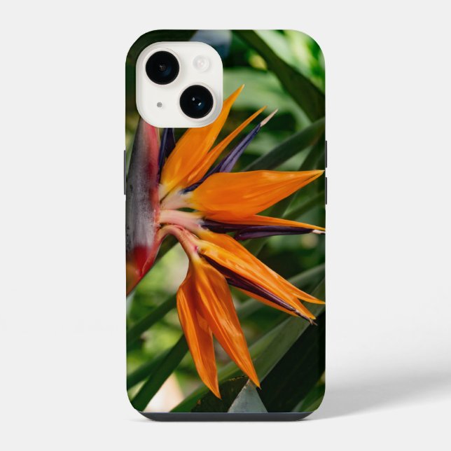 Bird of paradise flower.  iPhone case (Back)