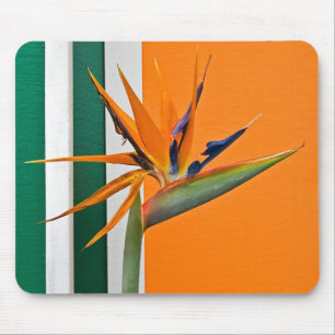 Bird Of Paradise Flower Mouse Pad