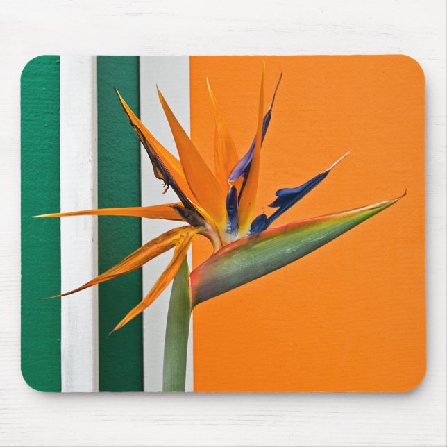 Bird Of Paradise Flower Mouse Pad (Front)