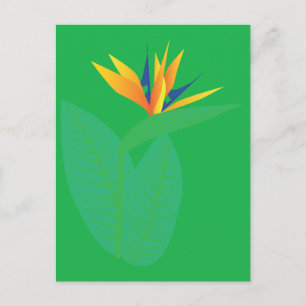 Bird of Paradise Flower Postcard
