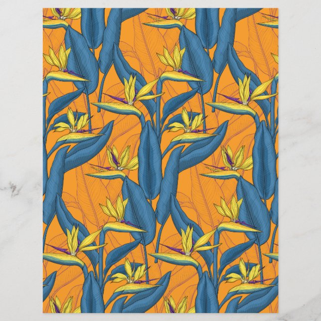 Bird of paradise flowers on orange (Front)