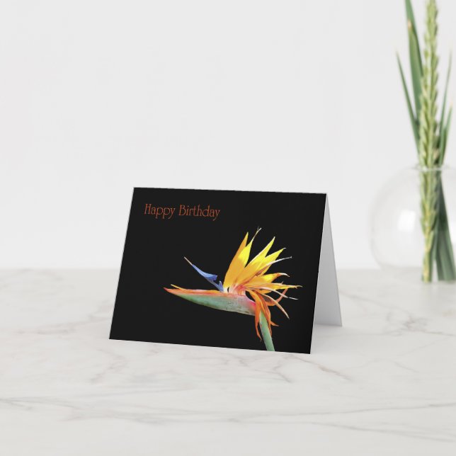 Bird of Paradise Happy Birthday Card (Front)
