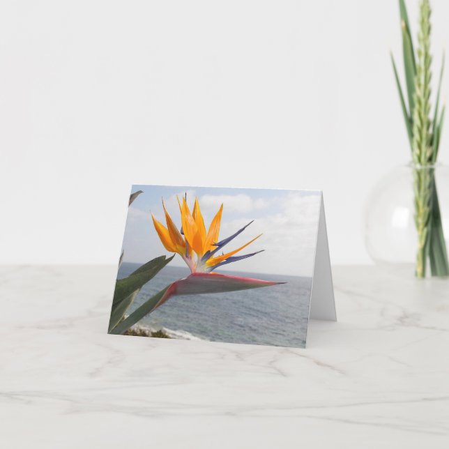 Bird of Paradise in paradise Card (Front)