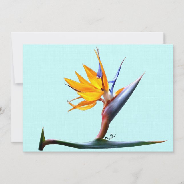 Bird of Paradise Invitation (Front)