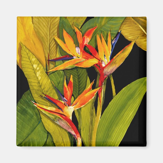 Bird of Paradise Magnet (Front)