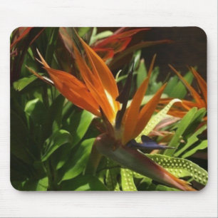 Bird of paradise mouse pad