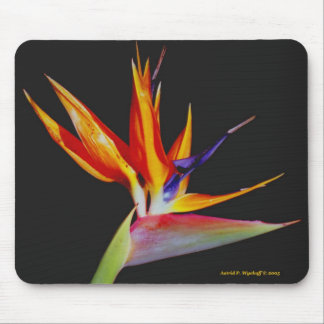Bird of Paradise Mousepad