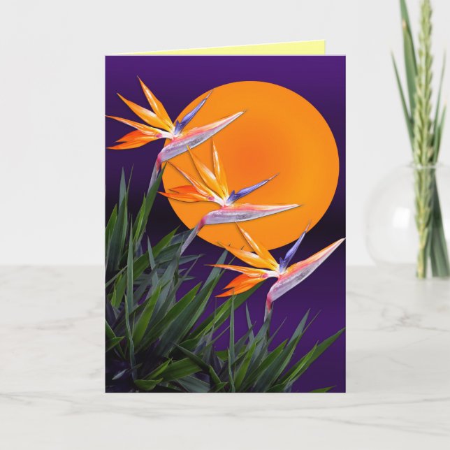 Bird of paradise note Card (Front)
