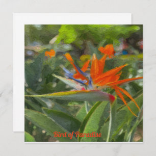 Bird of Paradise Oil Painting   Card