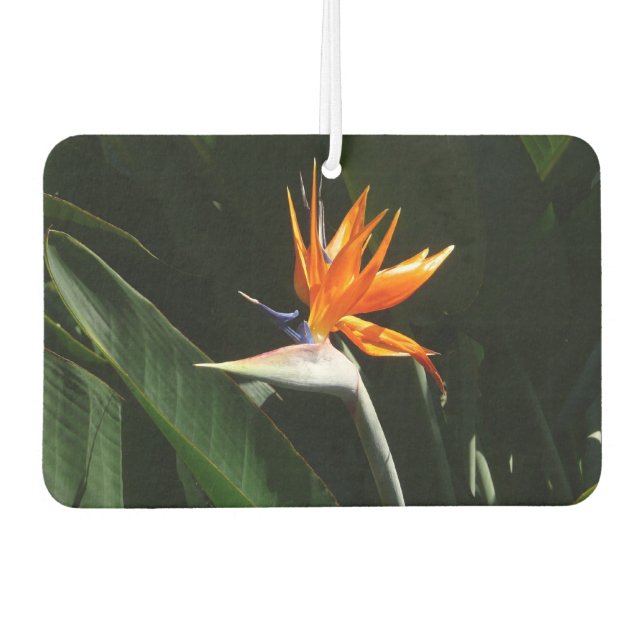 Bird of Paradise Orange Tropical Flower Car Air Freshener (Front)