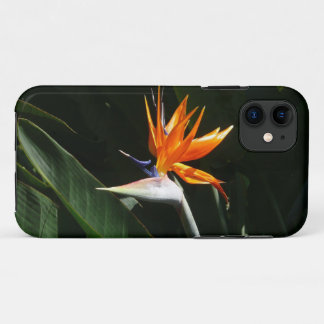 Bird of Paradise Orange Tropical Flower Case-Mate iPhone Case