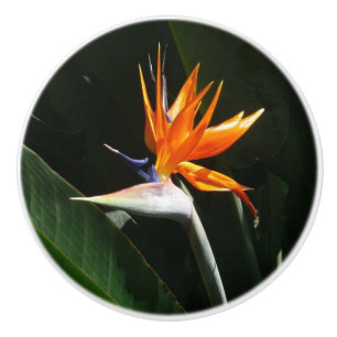 Bird of Paradise Orange Tropical Flower Ceramic Knob