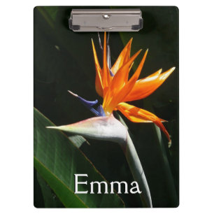Bird of Paradise Orange Tropical Flower Clipboard
