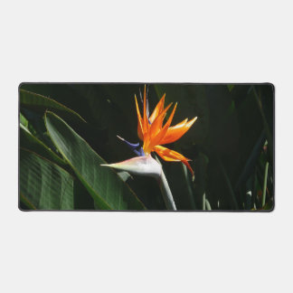 Bird of Paradise Orange Tropical Flower Desk Mat