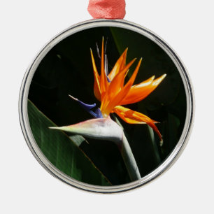 Bird of Paradise Orange Tropical Flower Metal Tree Decoration