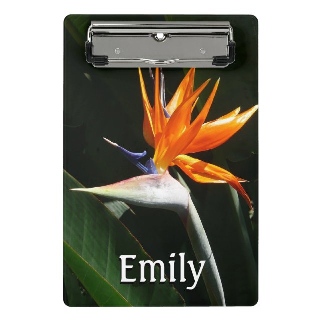 Bird of Paradise Orange Tropical Flower Mini Clipboard (Front)