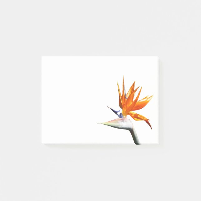 Bird of Paradise Orange Tropical Flower Post-it Notes (Front)