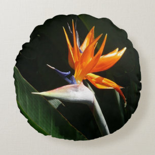 Bird of Paradise Orange Tropical Flower Round Cushion
