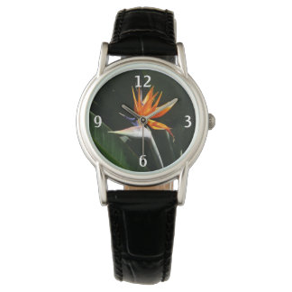Bird of Paradise Orange Tropical Flower Watch