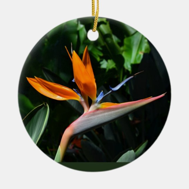 Bird of paradise ornament (Front)