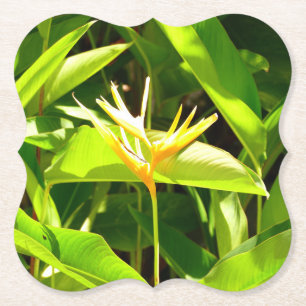 Bird of Paradise Paper Coaster