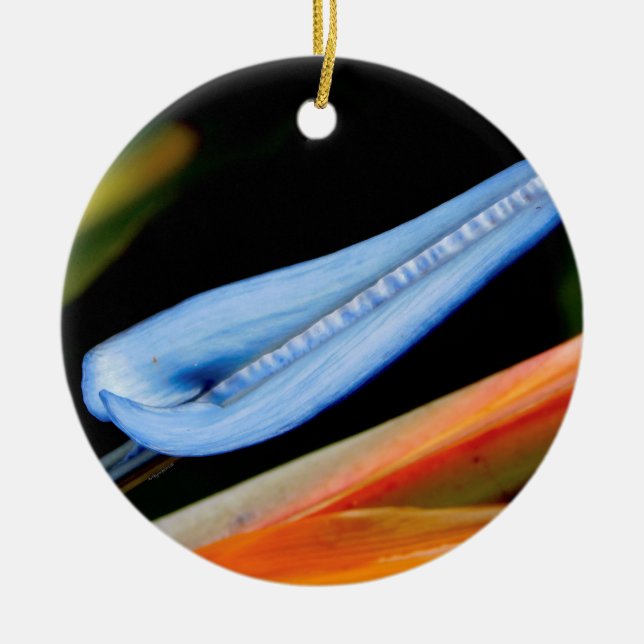 Bird of Paradise Photo Ceramic Tree Decoration (Front)
