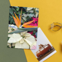 Bird of Paradise Plant and Poinsettias Hawaiian