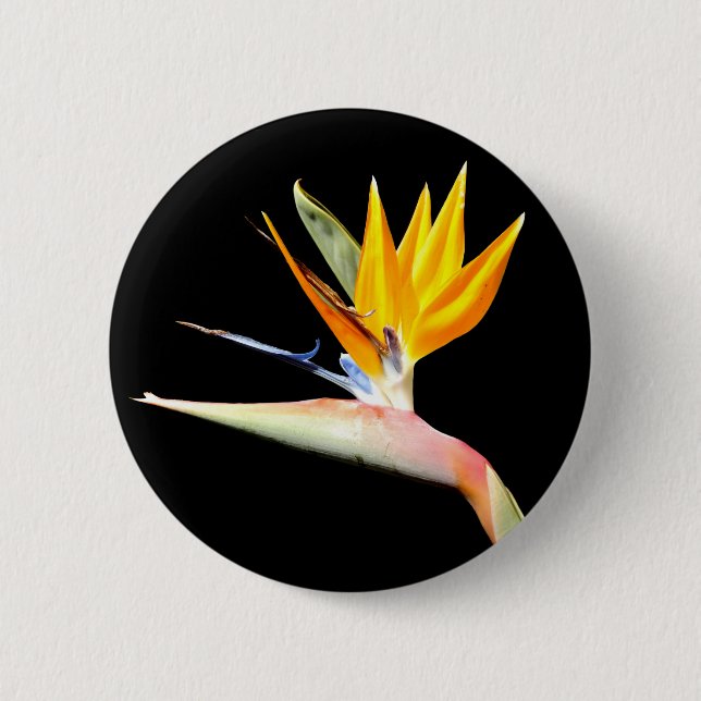 Bird of Paradise Plant Badge (Front)