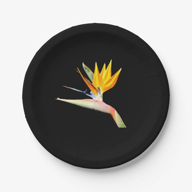 Bird of Paradise Plant Paper Plate (Front)