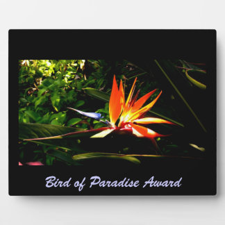 Bird of Paradise Plaque