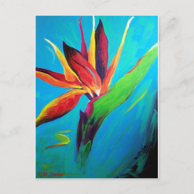 Bird of Paradise Postcard (Front)