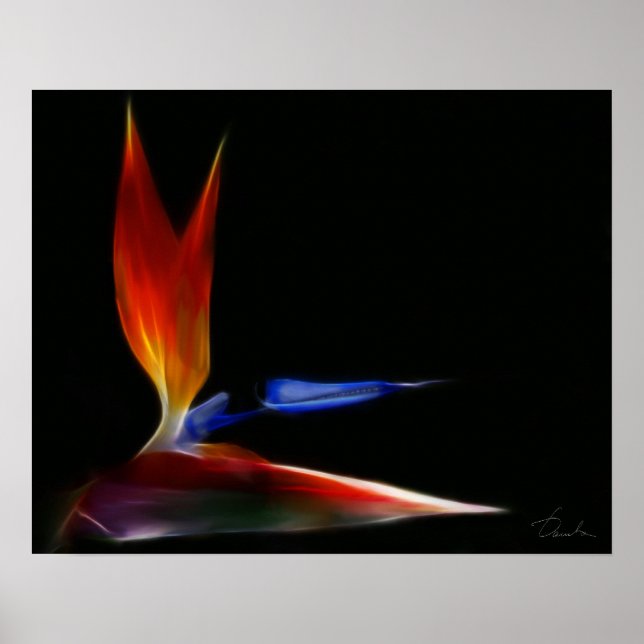 bird of paradise poster (Front)