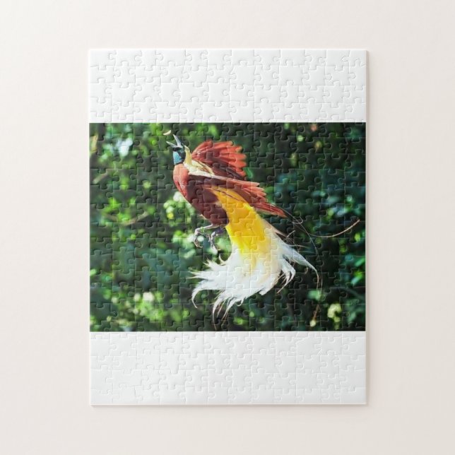Bird-of-Paradise Puzzle  (Vertical)