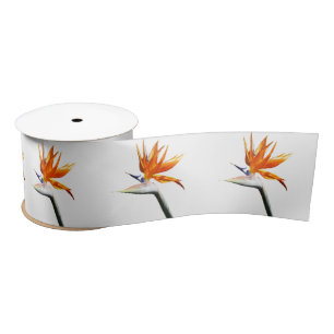 Bird of Paradise Satin Ribbon