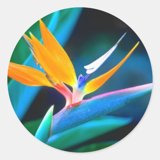 Bird of Paradise Sticker (Front)