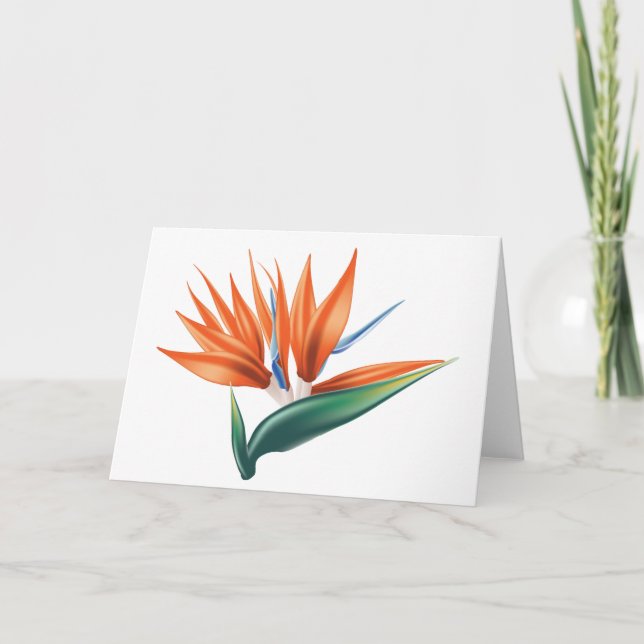 Bird of paradise, strelitzia exotic flower card (Front)
