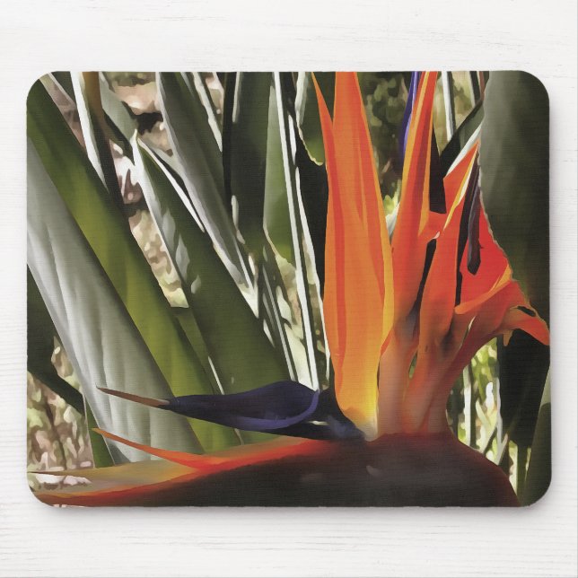 Bird of Paradise (Strelitzia) Mouse Pad (Front)