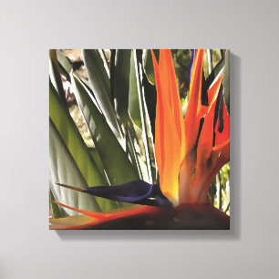 Bird of Paradise Strelitzia Reginae Acrylic Painti Canvas Print
