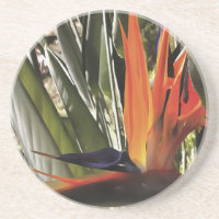 Bird of Paradise Strelitzia Reginae Acrylic Painti