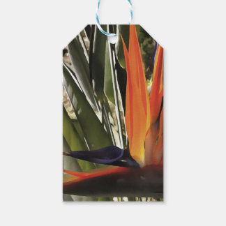 Bird of Paradise Strelitzia Reginae Acrylic Painti Gift Tags