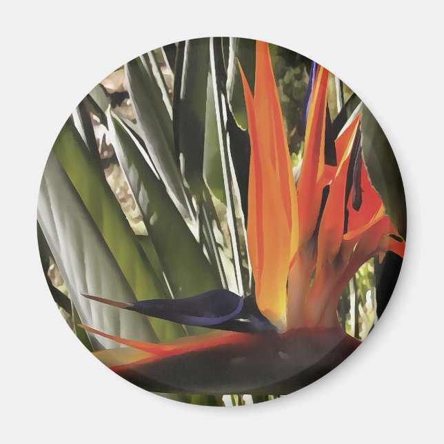 Bird of Paradise Strelitzia Reginae Acrylic Painti Magnet (Front)