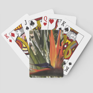Bird of Paradise Strelitzia Reginae Acrylic Painti Playing Cards