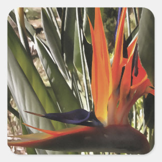 Bird of Paradise Strelitzia Reginae Acrylic Painti Square Sticker