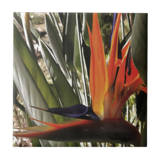 Bird of Paradise Strelitzia Reginae Acrylic Painti Tile