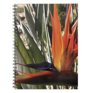 Bird of Paradise (Strelitzia) Spiral Notebook