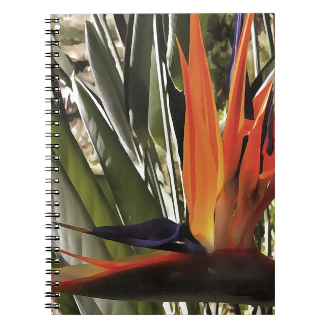 Bird of Paradise (Strelitzia) Spiral Notebook (Front)