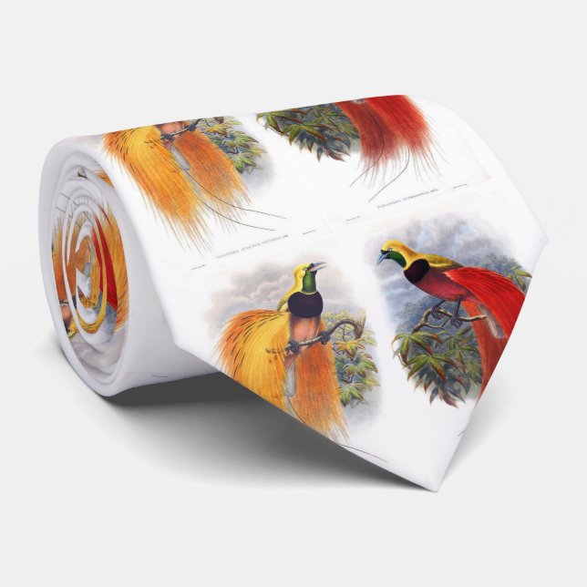 Bird of paradise tie (Rolled)