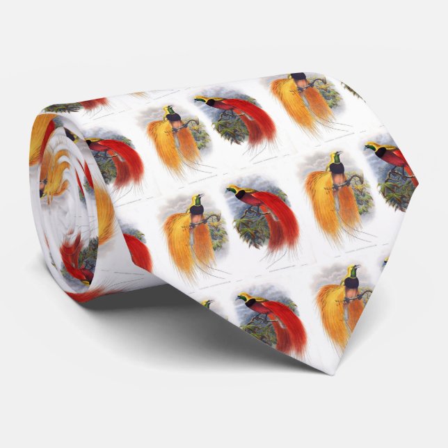 Bird of paradise tie (Rolled)