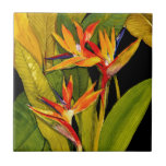 Bird of Paradise Tile<br><div class="desc">Dramatic Bird of Paradise by Tim O'Toole. A beautiful and vibrant artpiece of a bird of paradise flower. | 29200Z</div>
