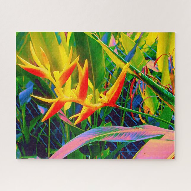 Bird of Paradise tropical flower challenging Jigsaw Puzzle (Horizontal)